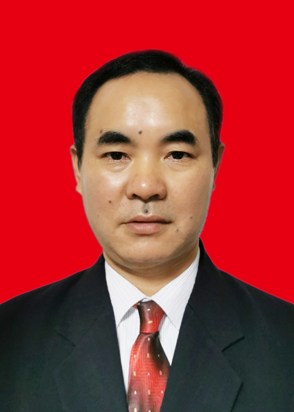 党总支书记：张碧泉
